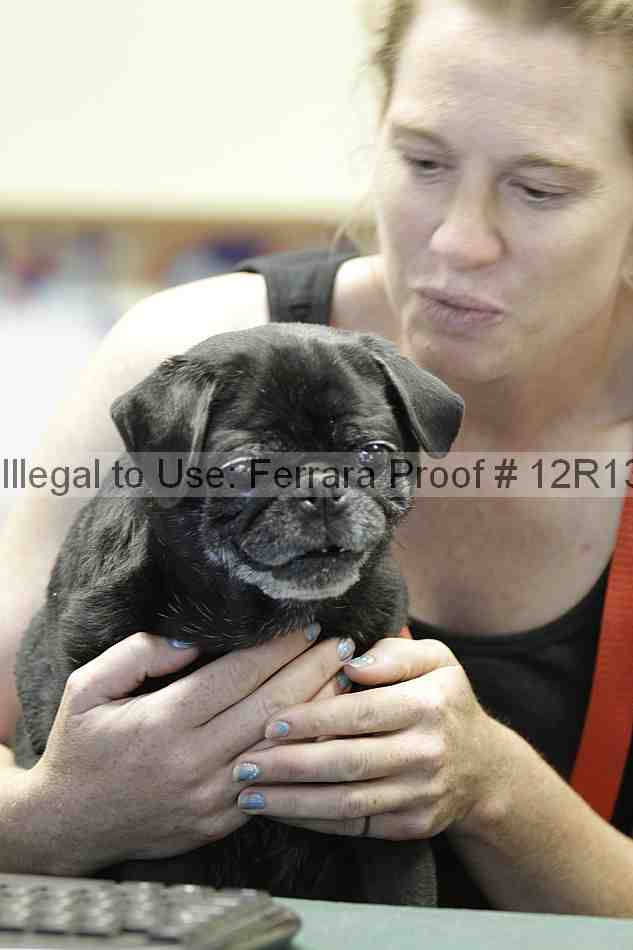 Proof 12r13_3434