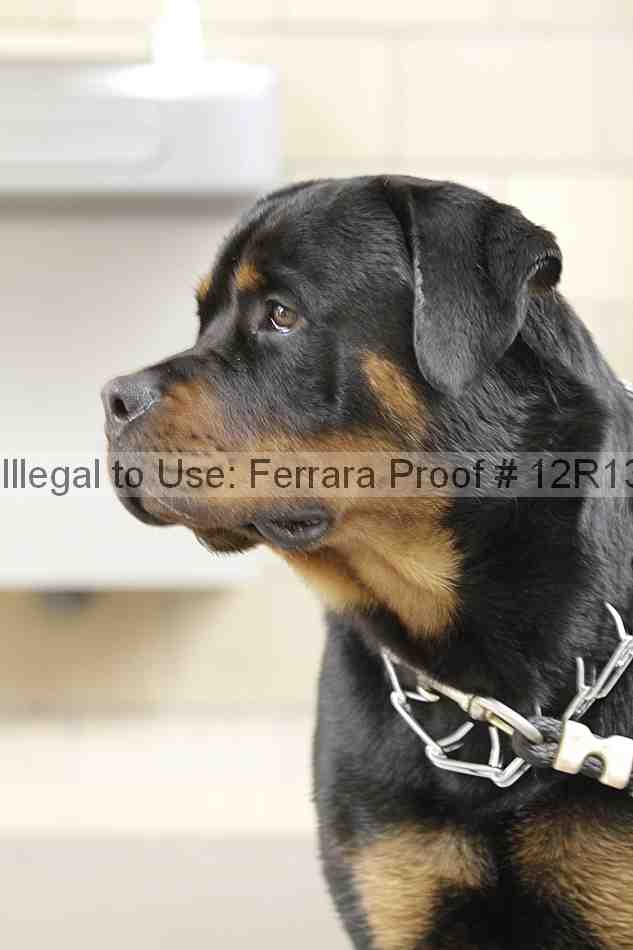 Proof 12r13_3438