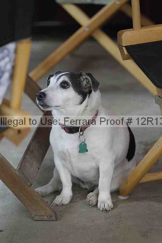 Proof 12r13_3443