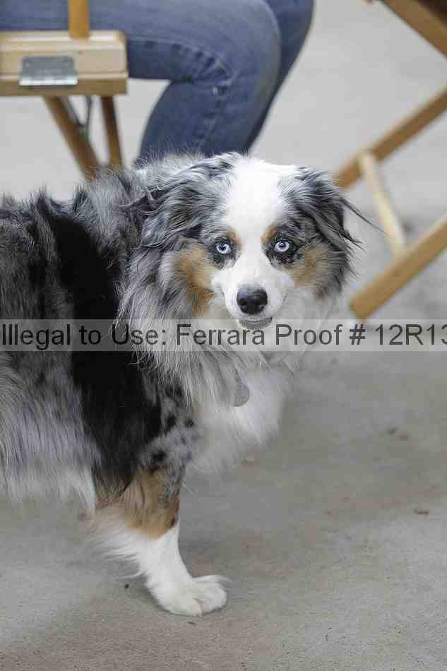 Proof 12r13_3444