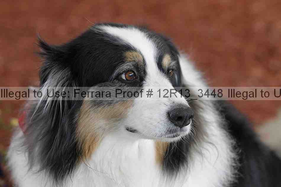 Proof 12r13_3448