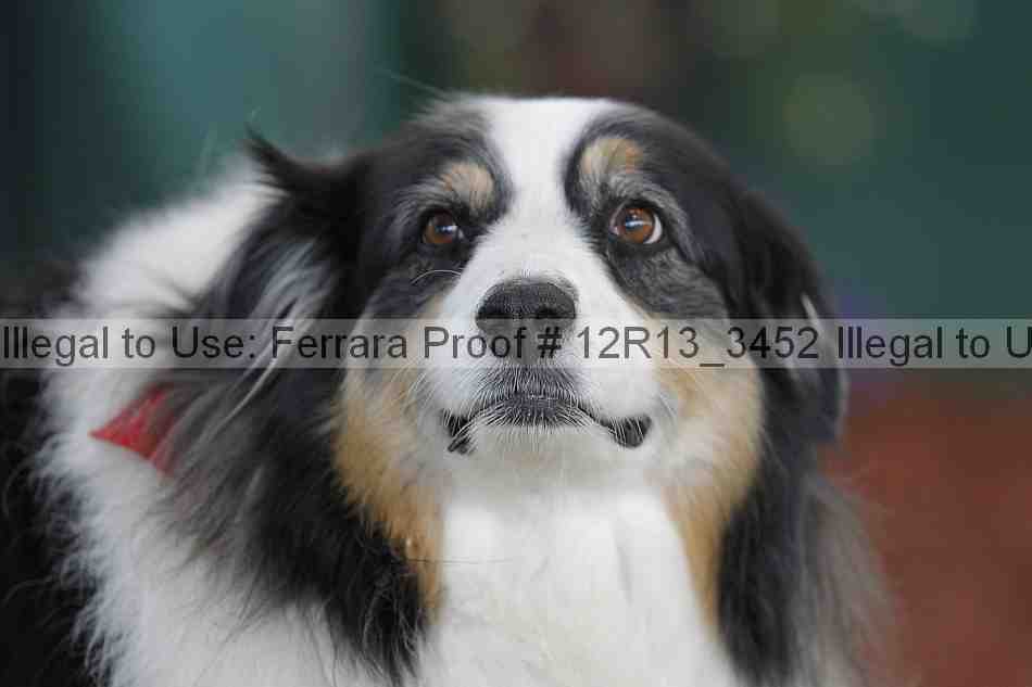 Proof 12r13_3452