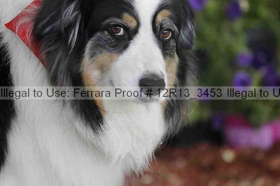 Proof 12r13_3453