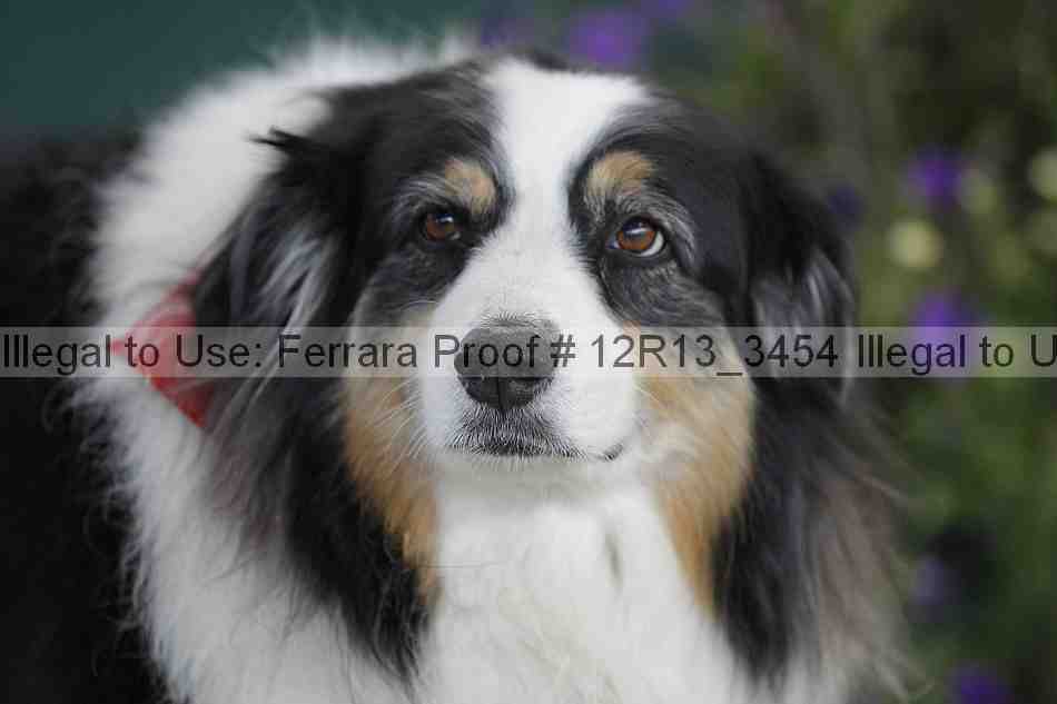 Proof 12r13_3454