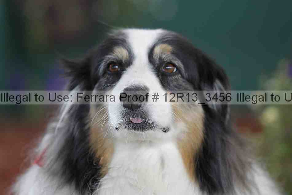Proof 12r13_3456