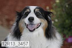 12r13_3457 proof