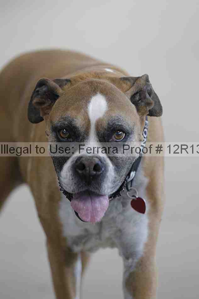 Proof 12r13_3458