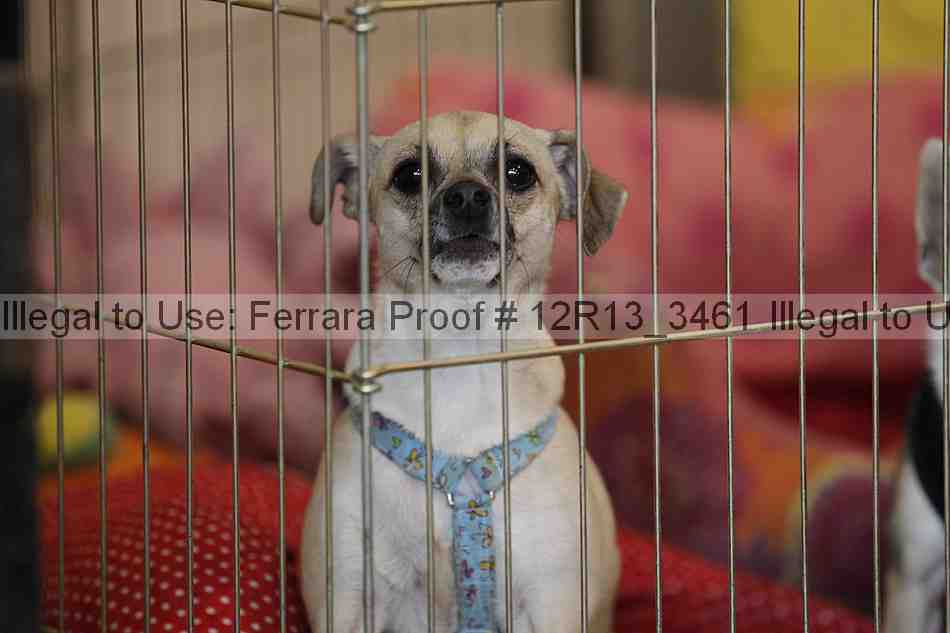 Proof 12r13_3461