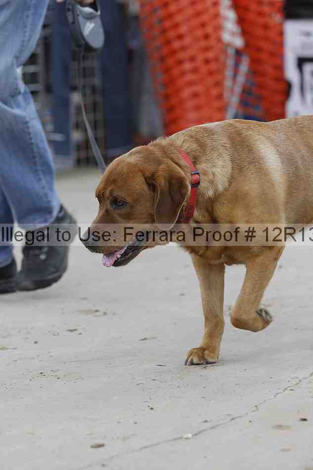 Proof 12r13_3463