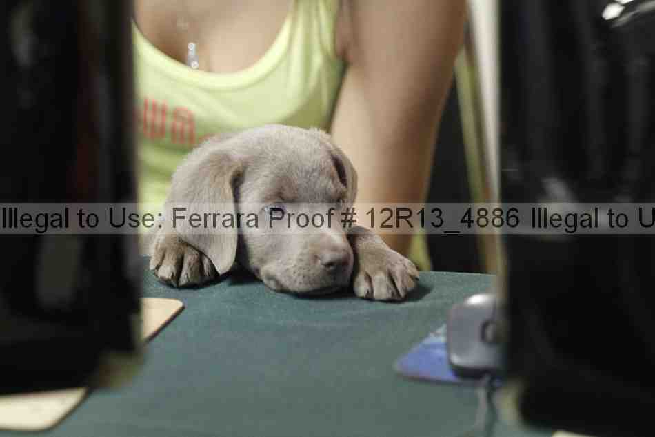 Proof 12r13_4886
