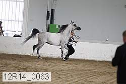 12r14_0063 proof