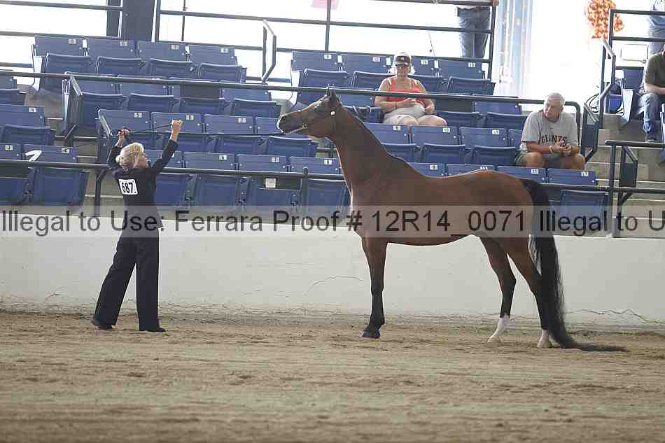 Proof 12r14_0071