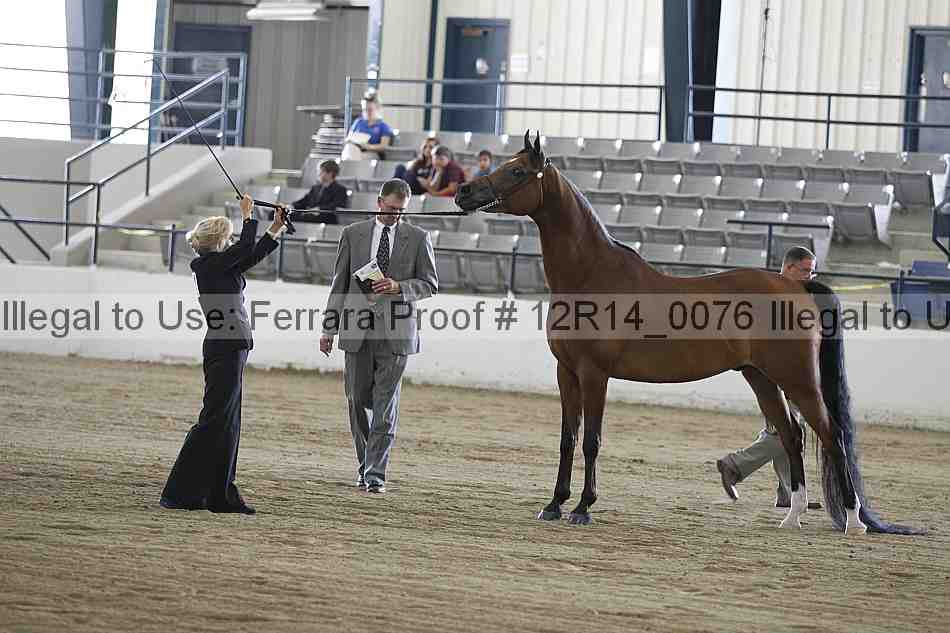 Proof 12r14_0076