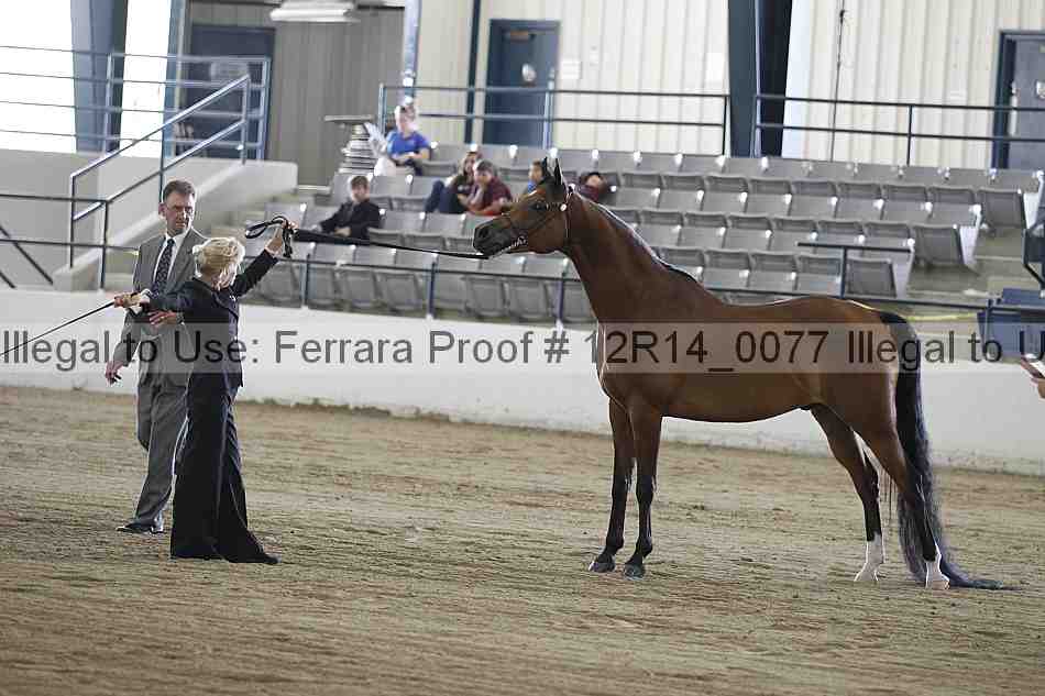 Proof 12r14_0077