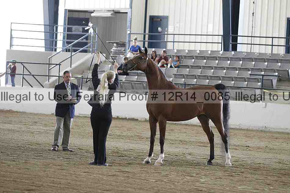 Proof 12r14_0085