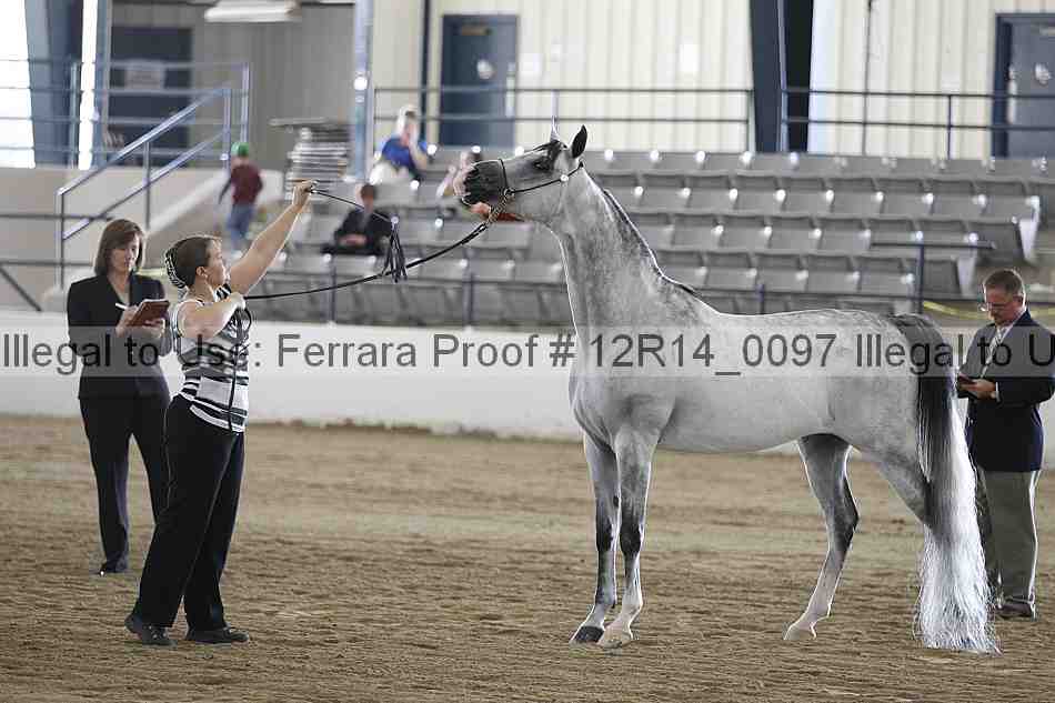 Proof 12r14_0097