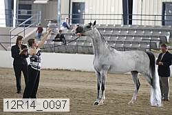 12r14_0097 proof