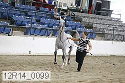 12r14_0099 proof