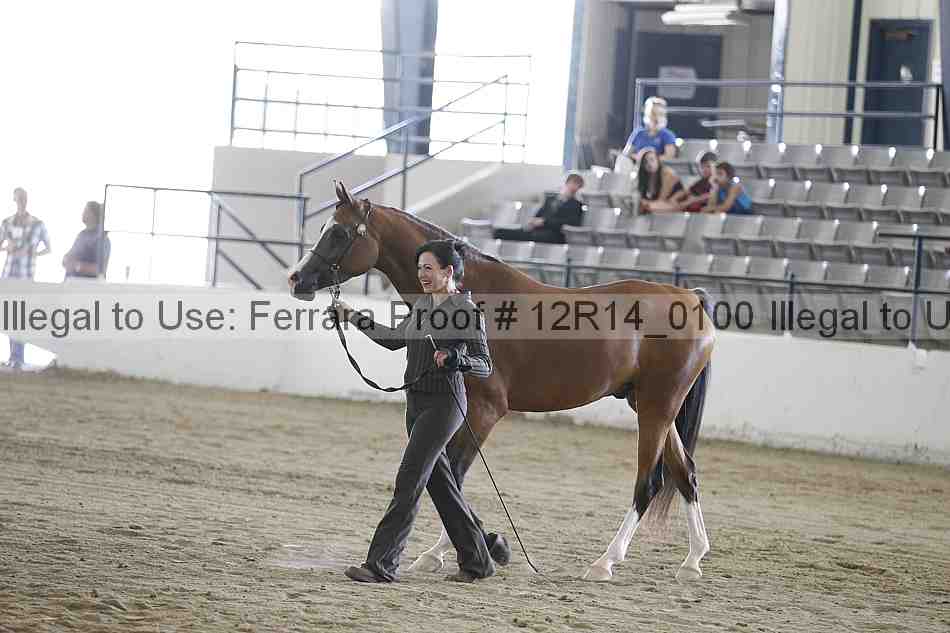 Proof 12r14_0100