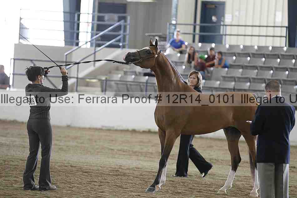 Proof 12r14_0101