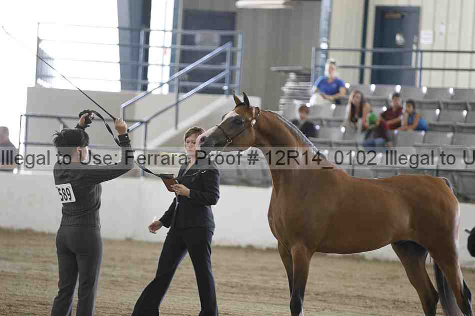 Proof 12r14_0102