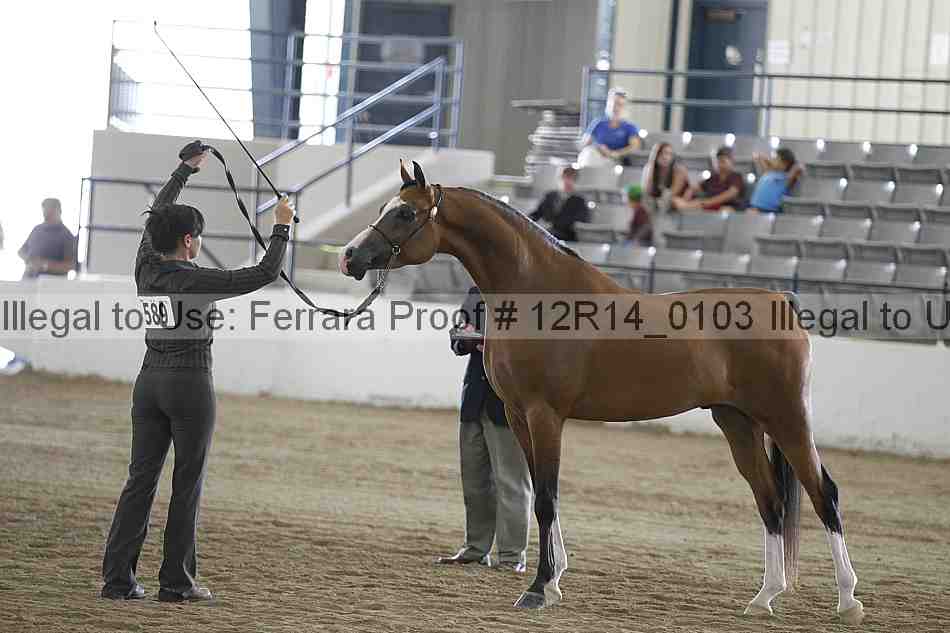 Proof 12r14_0103