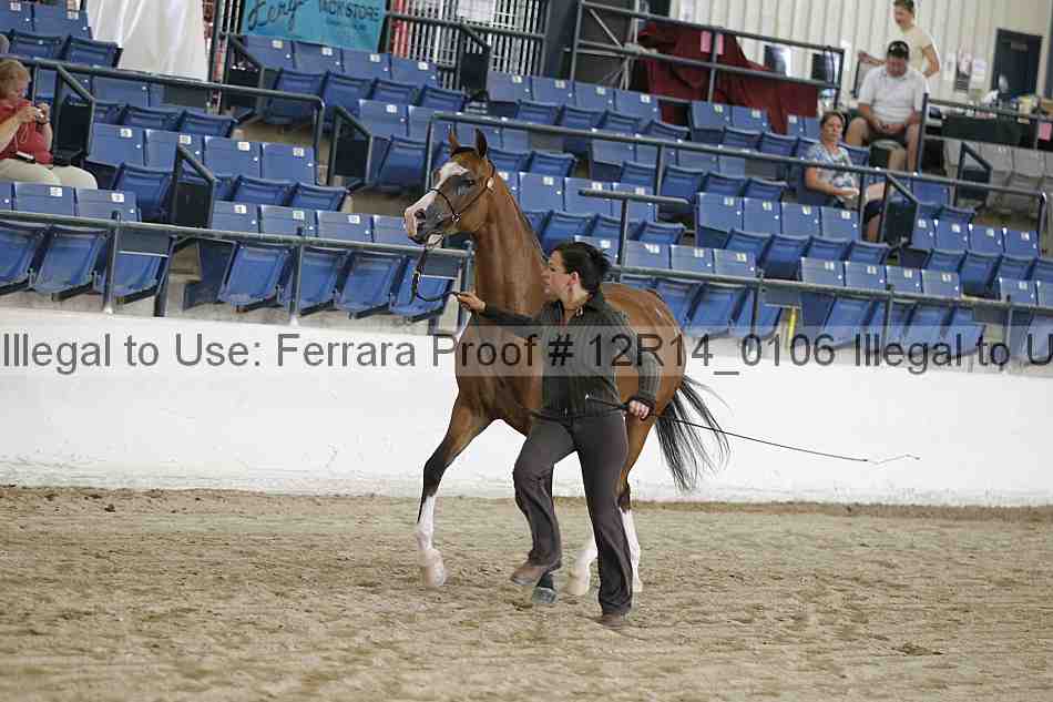 Proof 12r14_0106