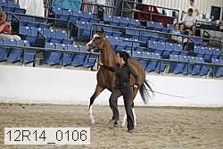 12r14_0106 proof