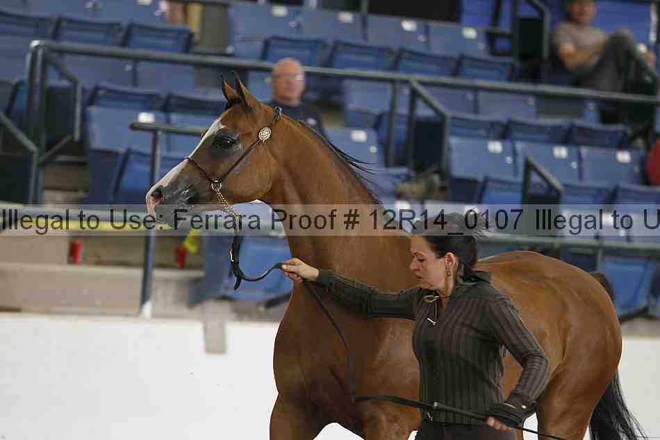 Proof 12r14_0107
