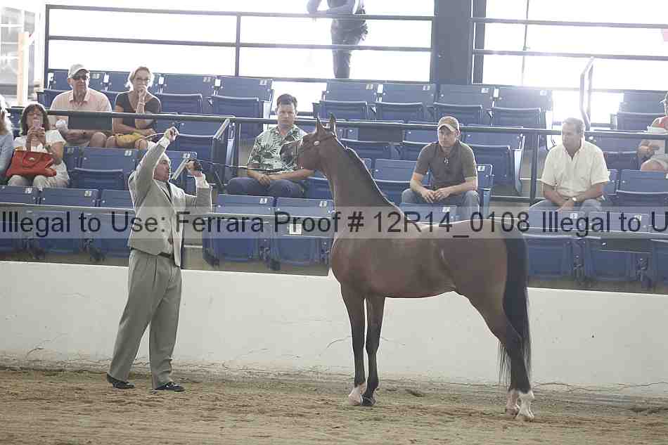 Proof 12r14_0108