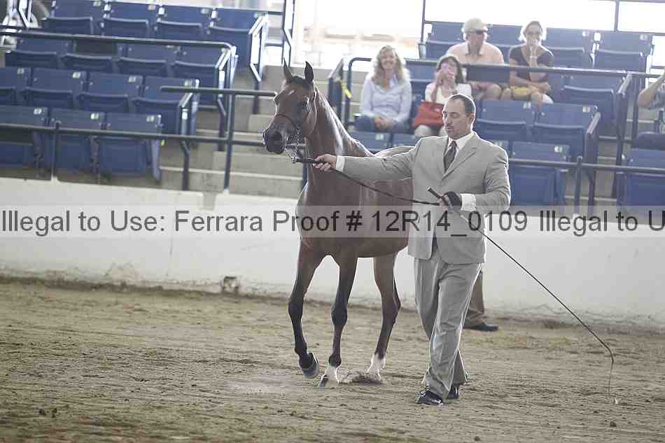 Proof 12r14_0109