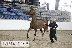 12r14_0156 proof
