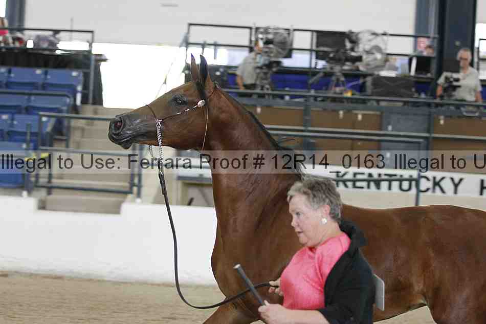 Proof 12r14_0163