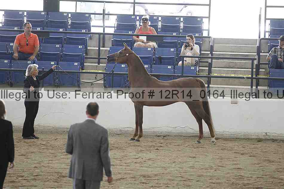 Proof 12r14_0164