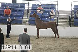12r14_0164 proof