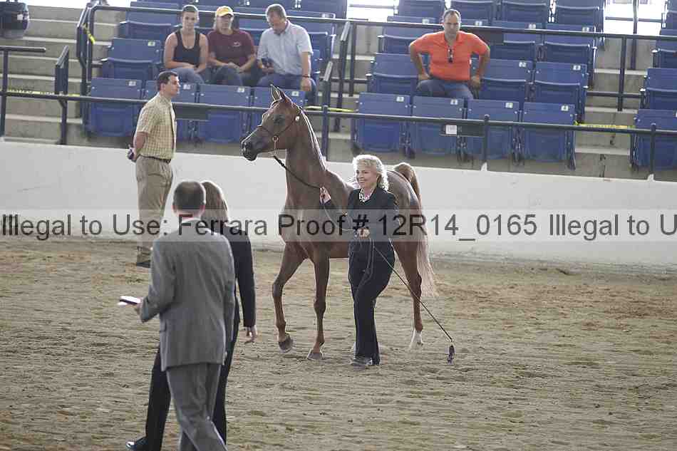 Proof 12r14_0165