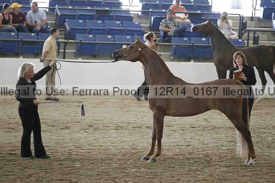 Proof 12r14_0167