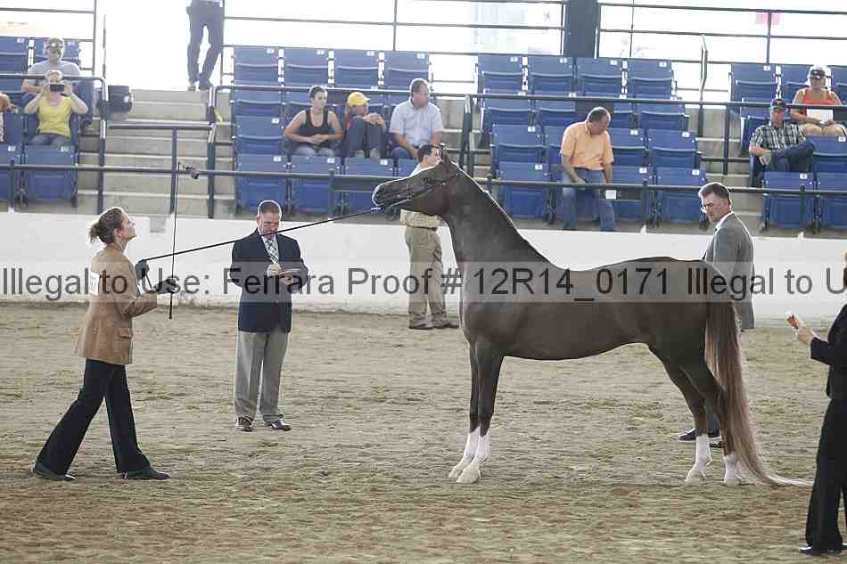 Proof 12r14_0171