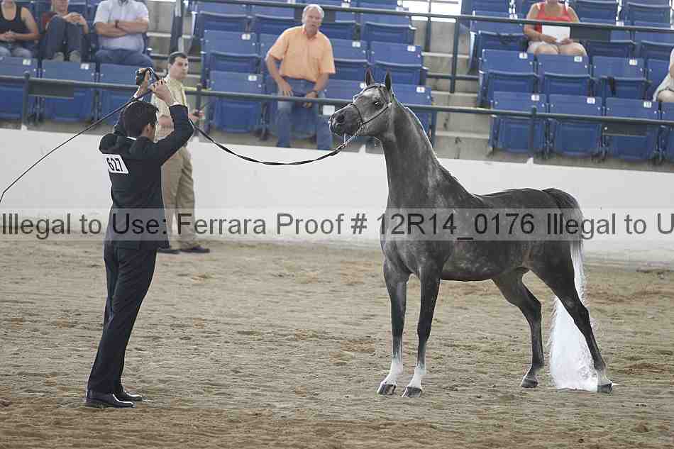 Proof 12r14_0176