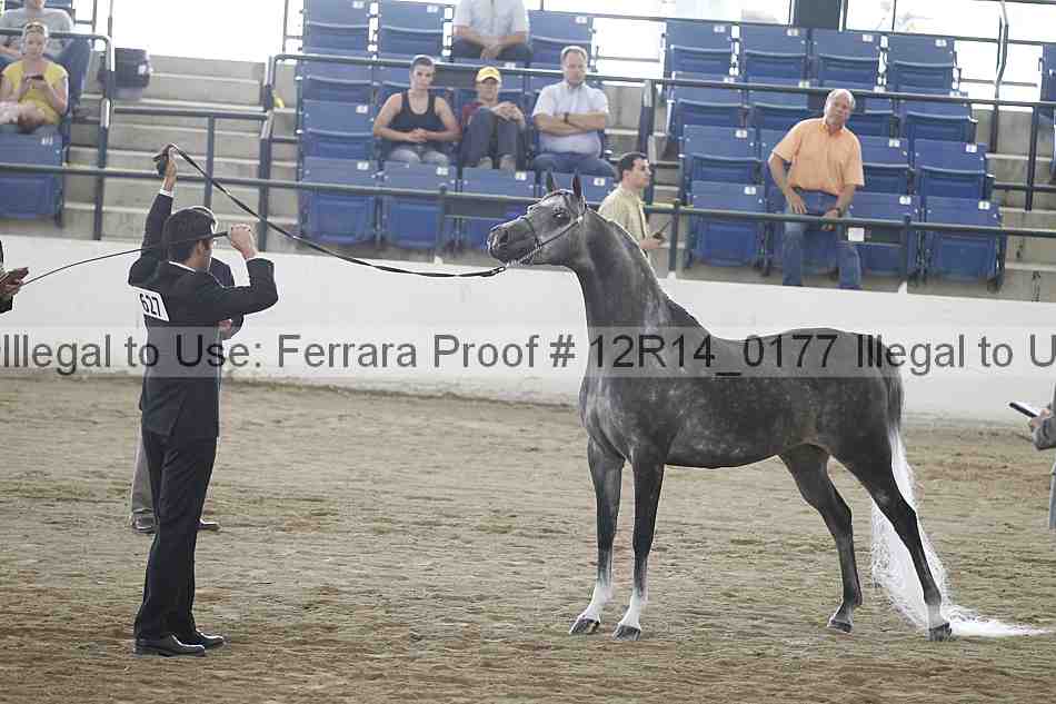 Proof 12r14_0177
