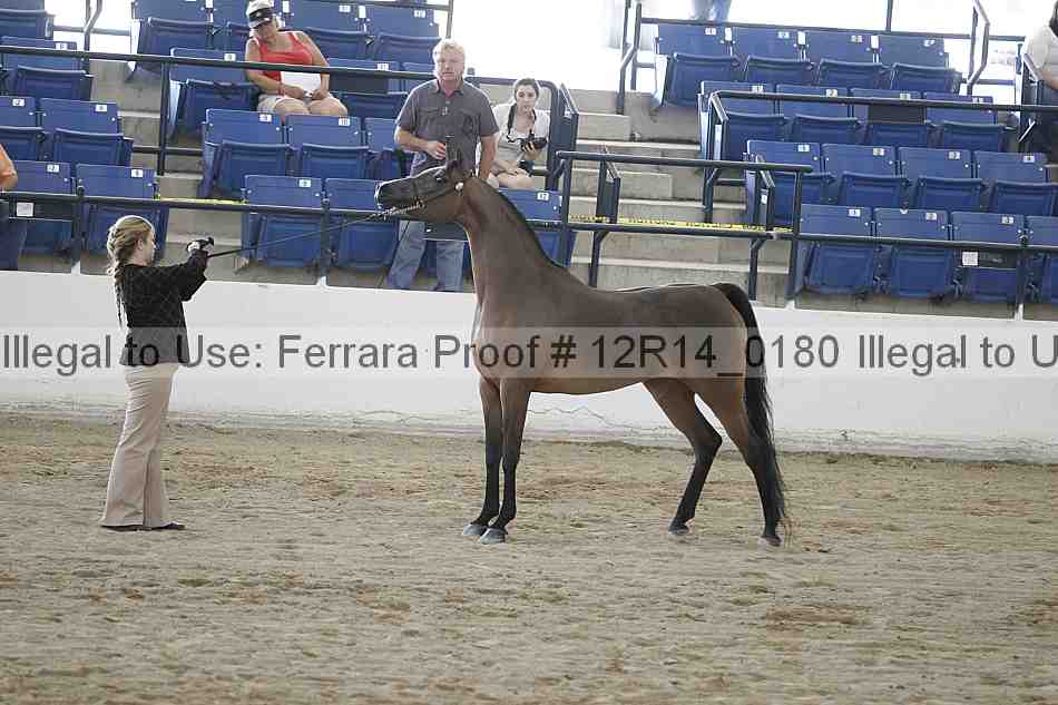 Proof 12r14_0180