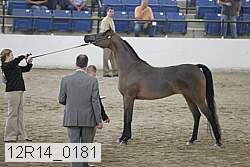 12r14_0181 proof