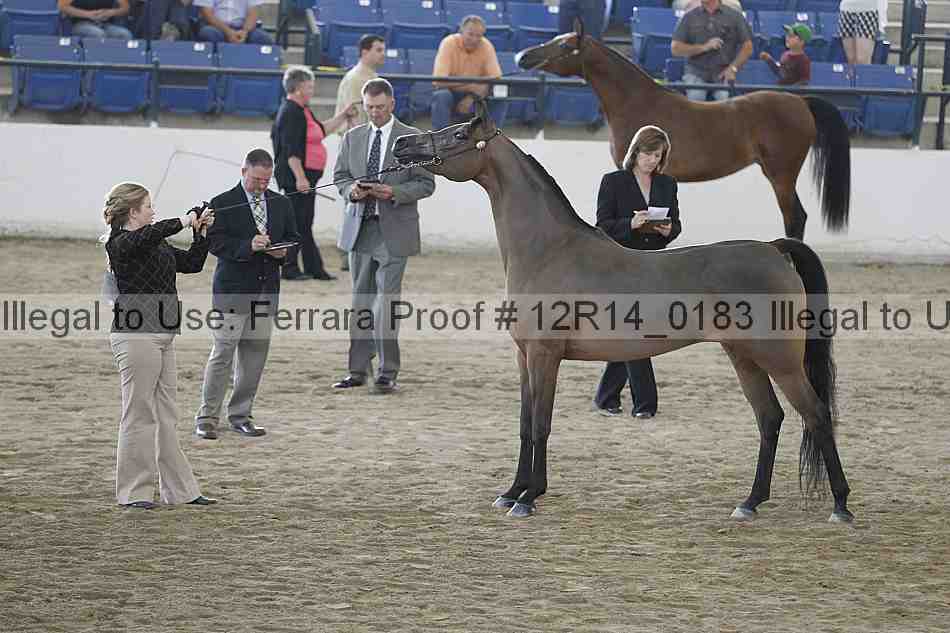 Proof 12r14_0183