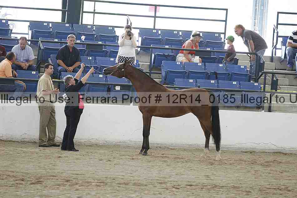Proof 12r14_0185