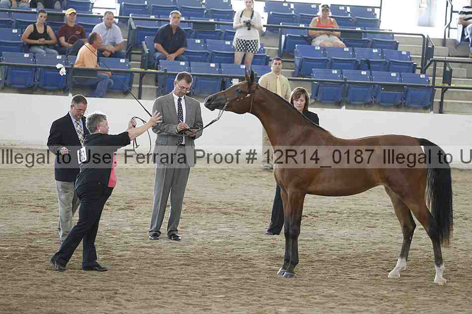 Proof 12r14_0187