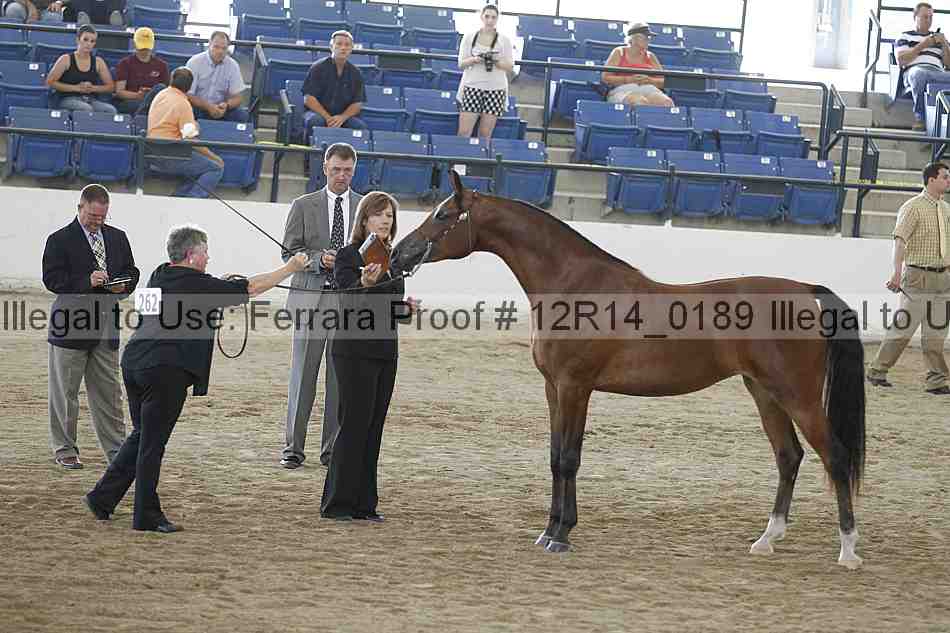 Proof 12r14_0189