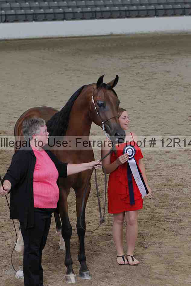 Proof 12r14_0191