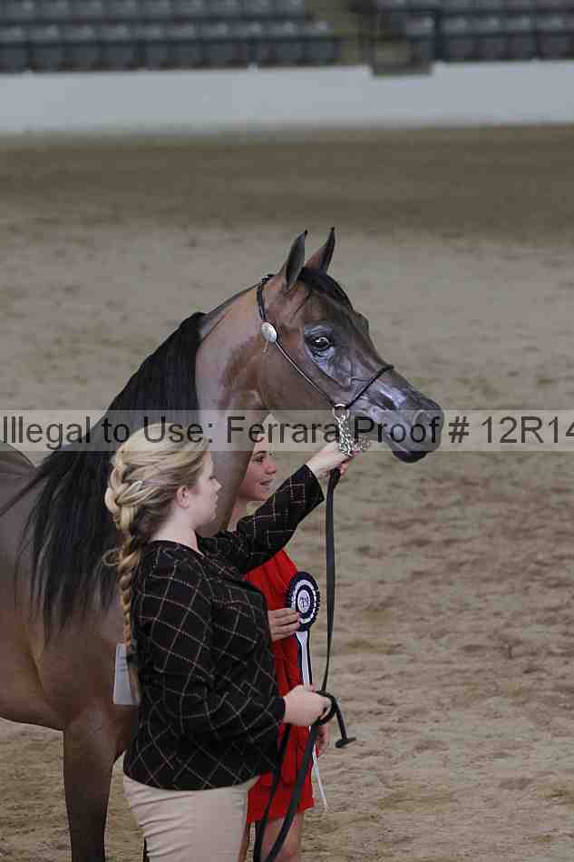 Proof 12r14_0197