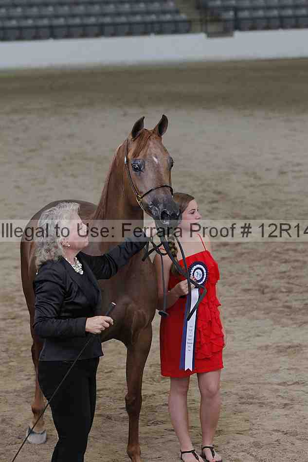 Proof 12r14_0201