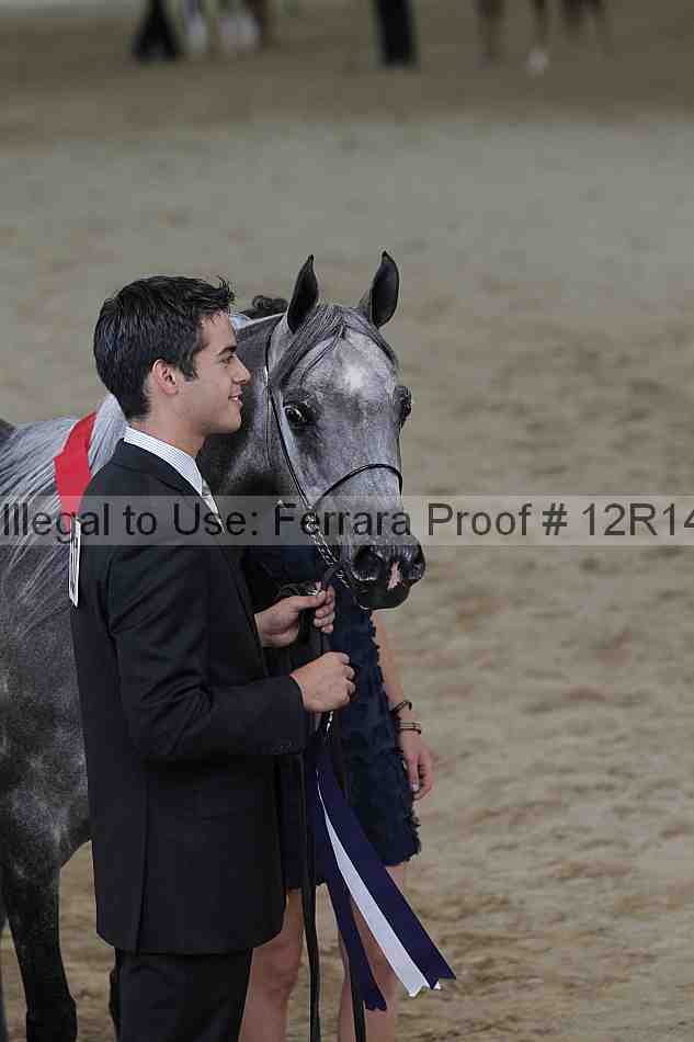 Proof 12r14_0210